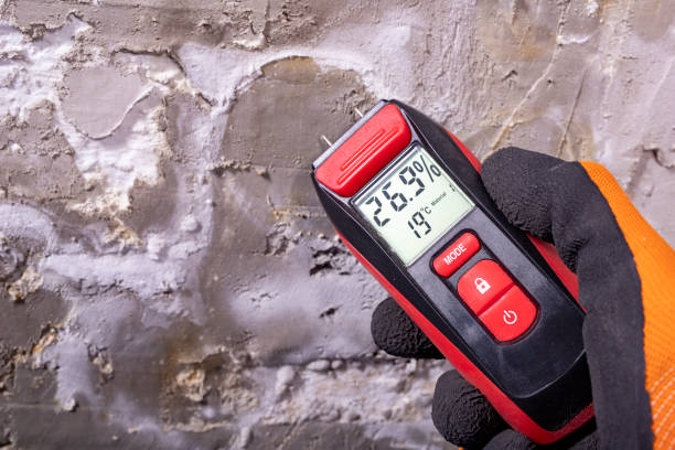 Best Attic Mold Removal  in Pittsburg, KS