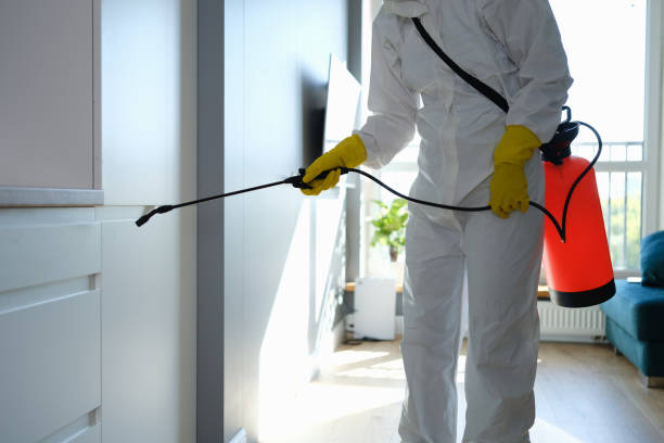 Best Mold Remediation  in Pittsburg, KS