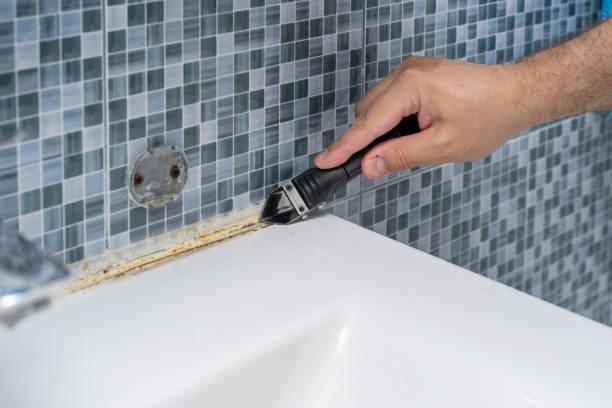 Best Mold Removal Specialists  in Pittsburg, KS